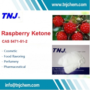 Raspberry Ketone price suppliers