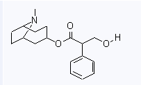 51-55-8 suppliers