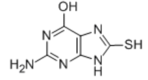 CAS 28128-40-7 2-AMino-6-hydroxy-8-Mercaptopurine suppliers