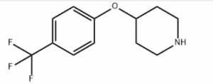 CAS 28033-37-6 4-[4-(Trifluoromethoxy)phenoxy]piperidine suppliers